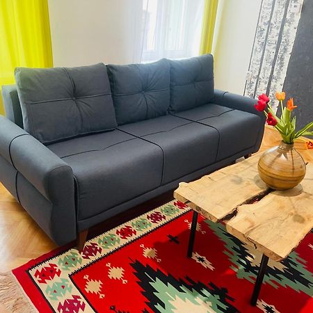 Spacious Stylish Apartment In Old Town シビウ エクステリア 写真