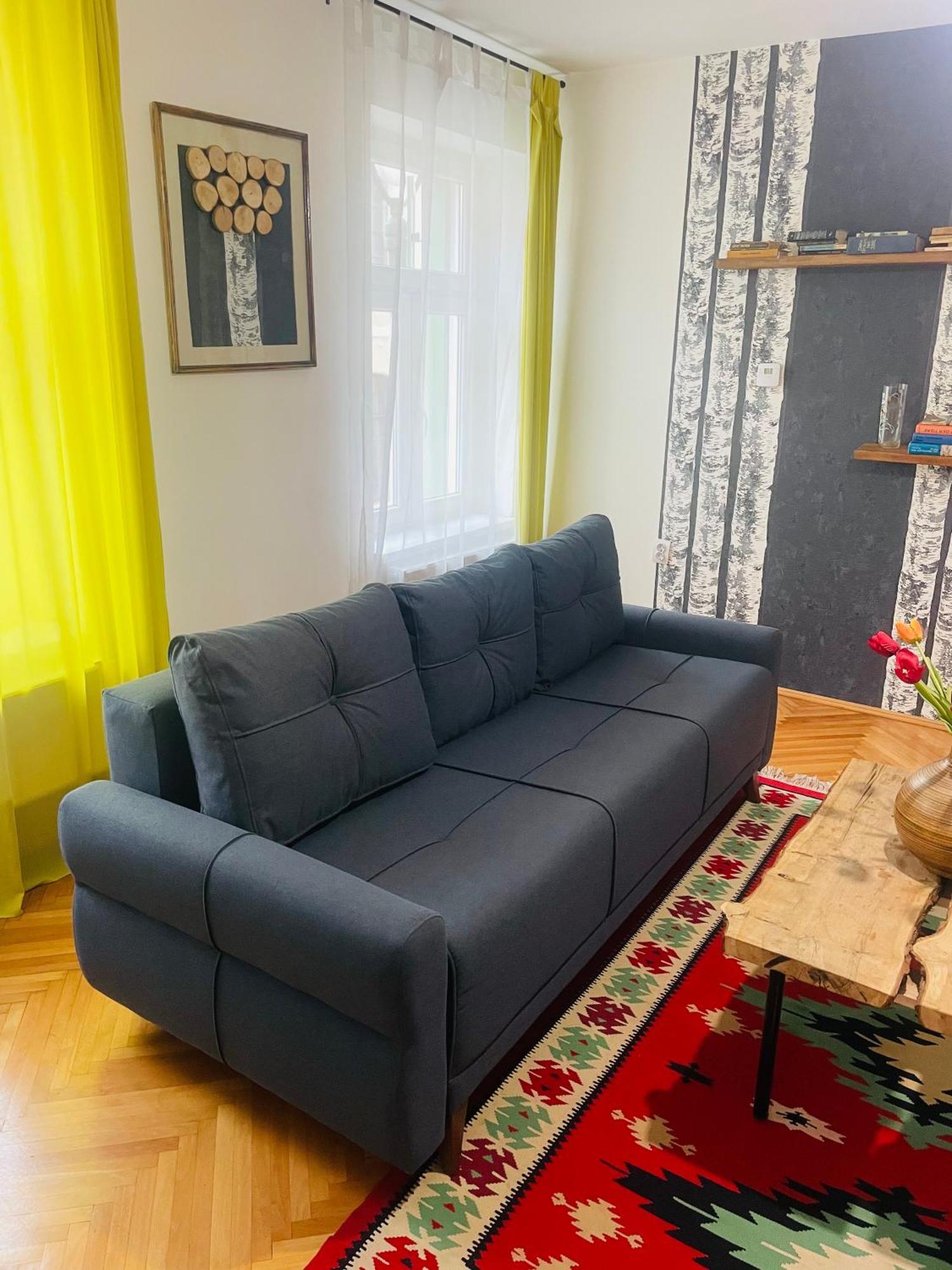 Spacious Stylish Apartment In Old Town シビウ エクステリア 写真