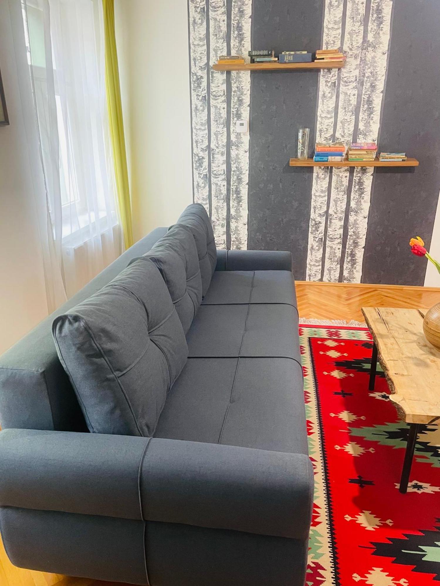 Spacious Stylish Apartment In Old Town シビウ エクステリア 写真